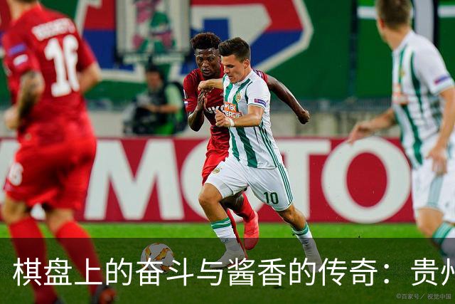 棋盘上的奋斗与酱香的传奇：贵州队的围甲之旅